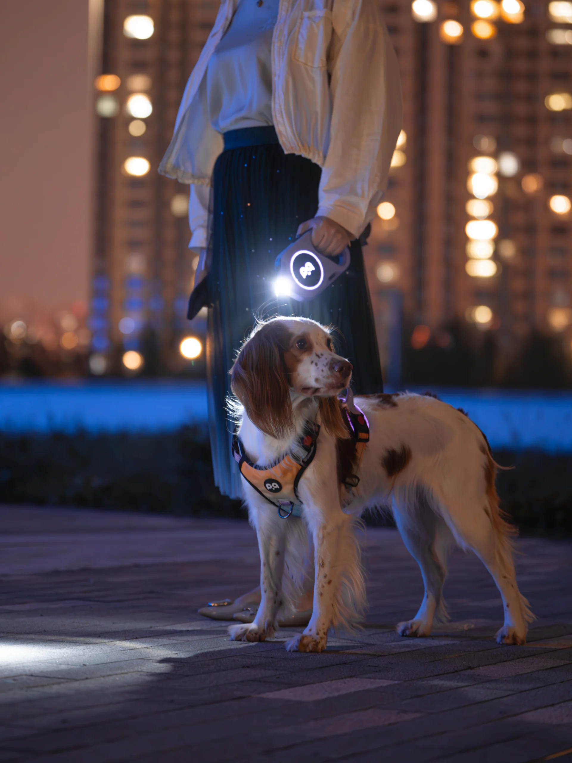 LED Leash