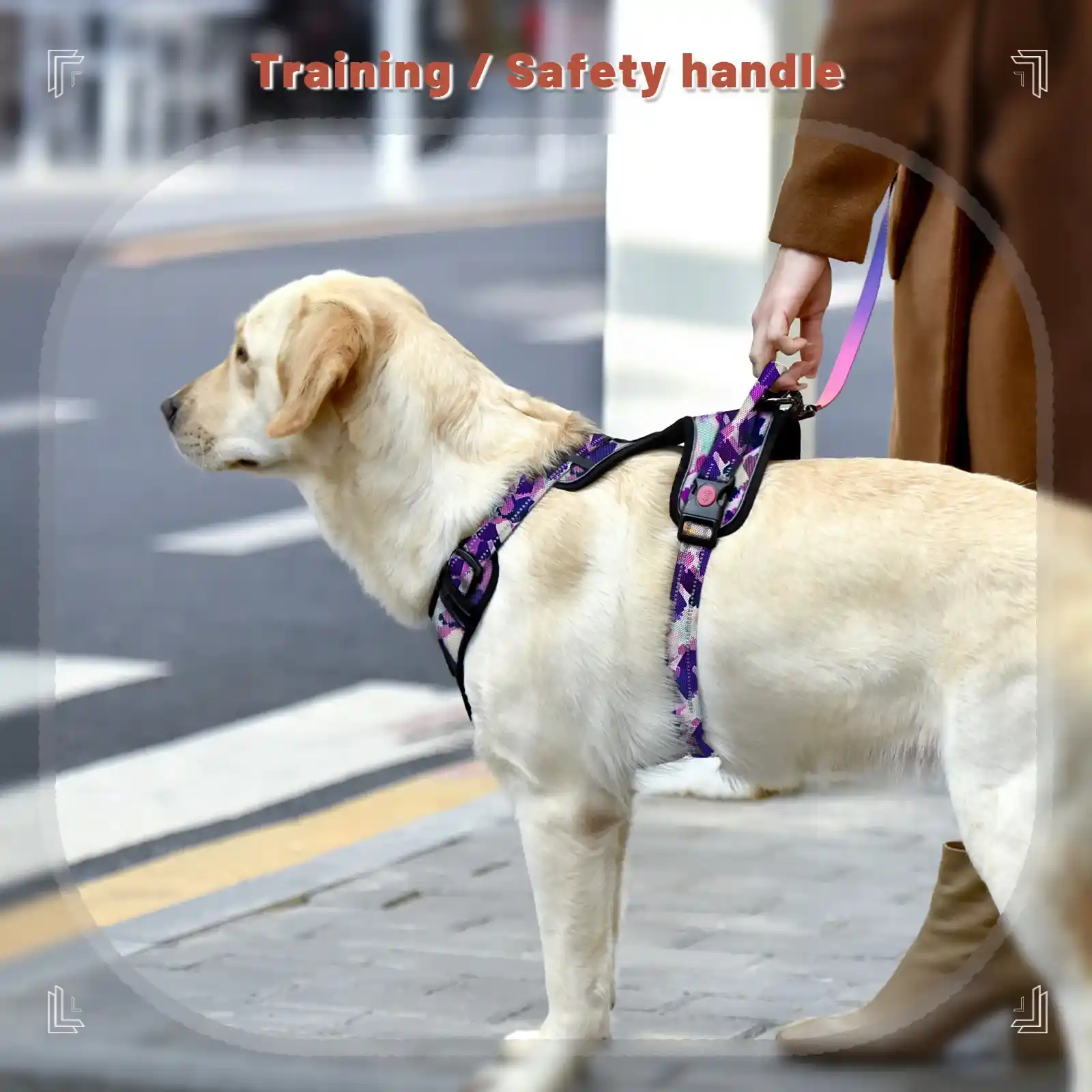 No Pull Training Reflective Dog Harness With Handle